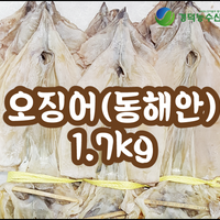 오징어 특상품(동해안) 1.7kg 