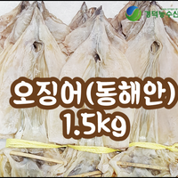 햇오징어 특상품(동해안) 1.5kg 당일바리