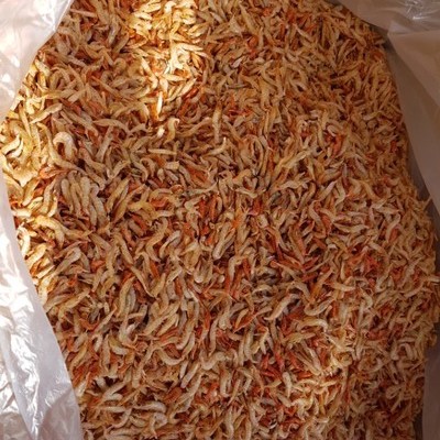 국내산 보리새우, 밥새우 특품 500g, 1kg, 10kg